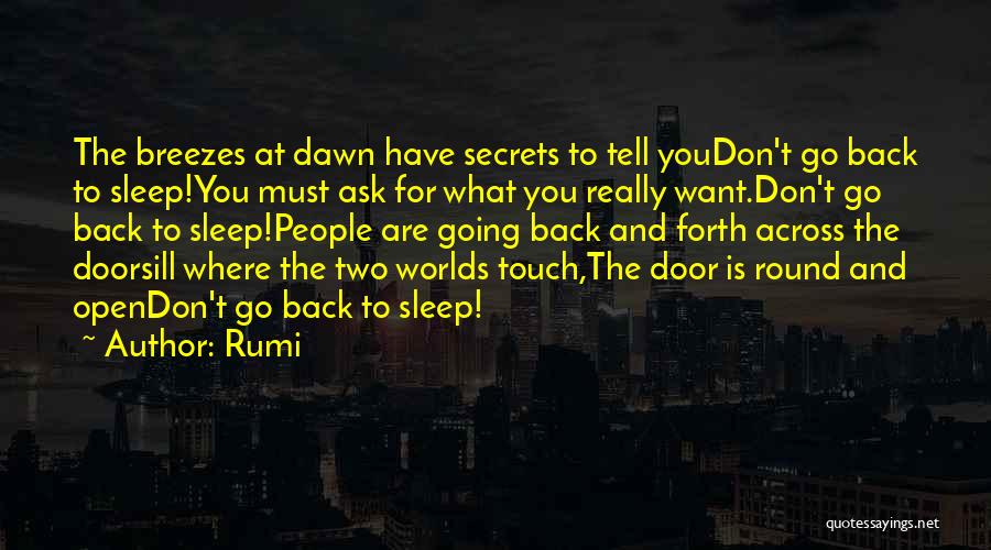 Don't Go Back To Sleep Quotes By Rumi