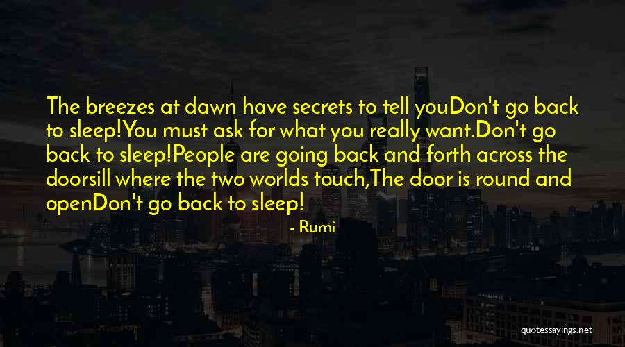 Don't Go Back To Sleep Quotes By Rumi