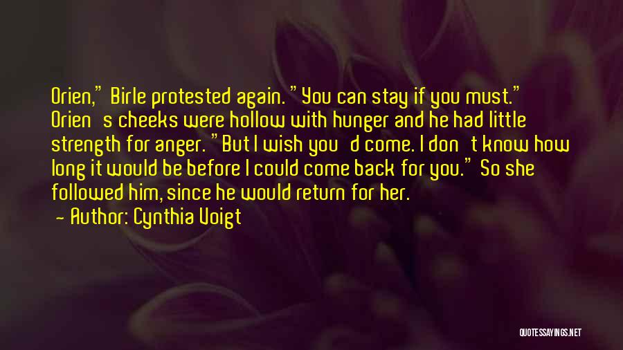 Don't Go Back To Your Past Quotes By Cynthia Voigt