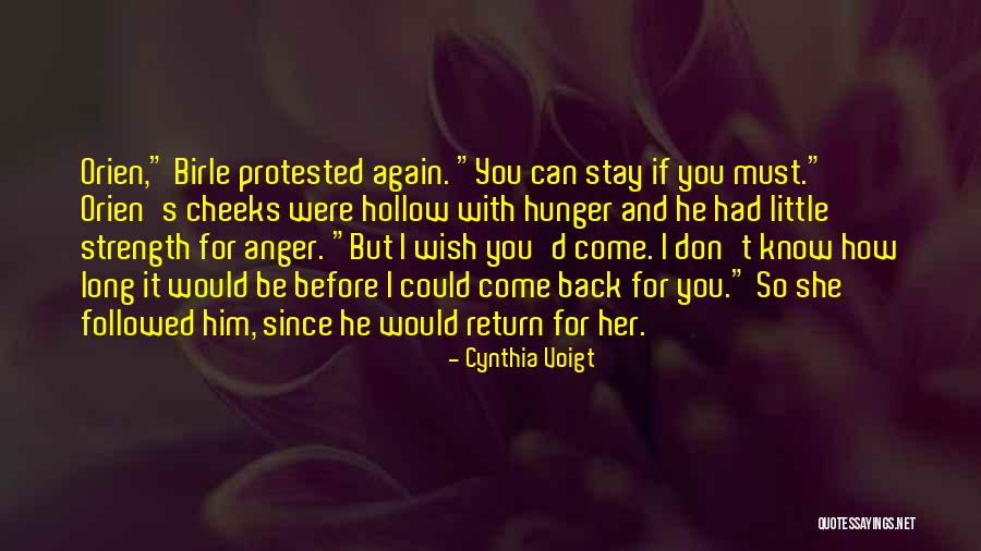 Don't Go Back To Your Past Quotes By Cynthia Voigt