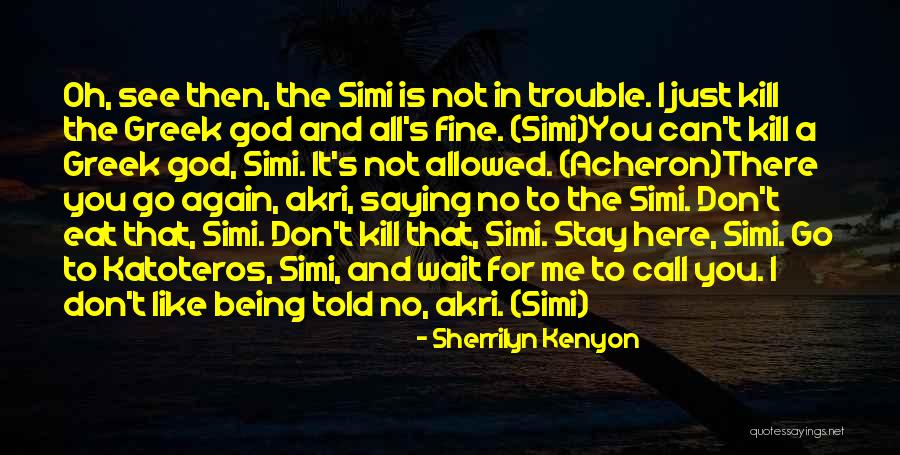 Dont Go For Looks Quotes By Sherrilyn Kenyon Dont Go For Looks Quotes By Sherrilyn Kenyon