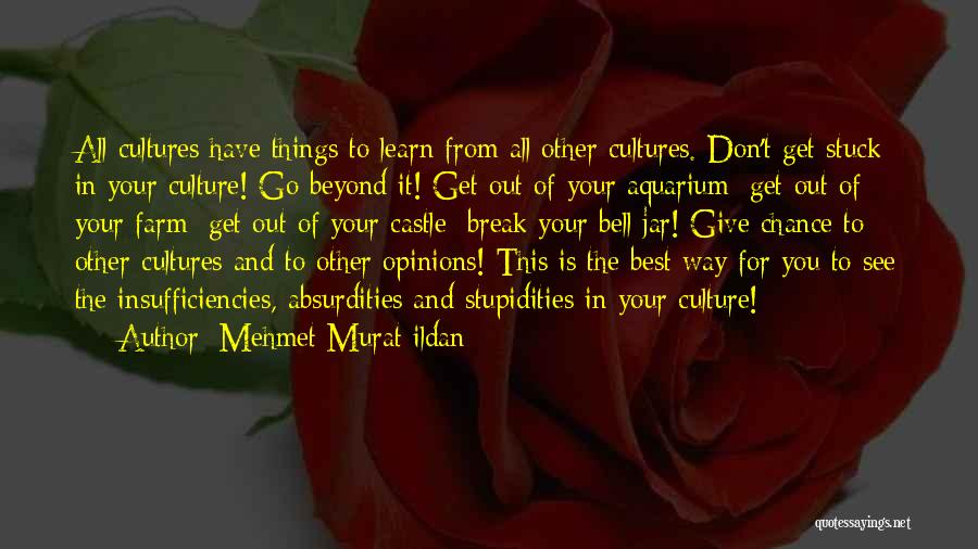 Don't Go Out Of Your Way Quotes By Mehmet Murat Ildan