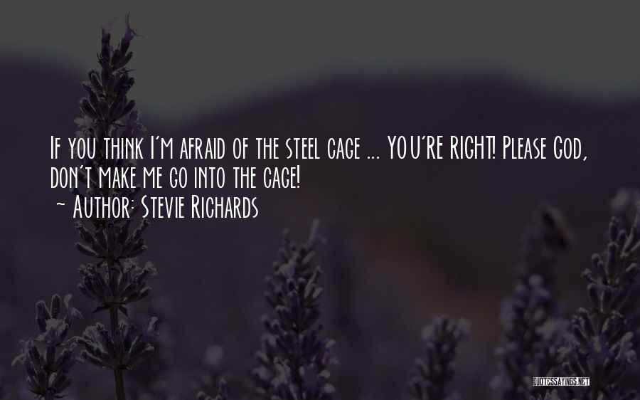 Don't Go Please Quotes By Stevie Richards