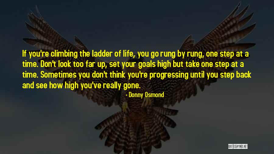 Don't Go Too Far Quotes By Donny Osmond