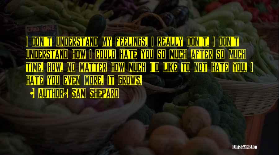 Don't Hate What You Don't Understand Quotes By Sam Shepard