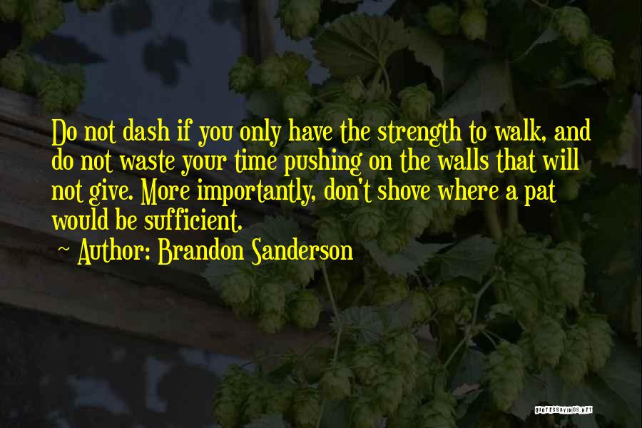 Don't Have Time To Waste Quotes By Brandon Sanderson