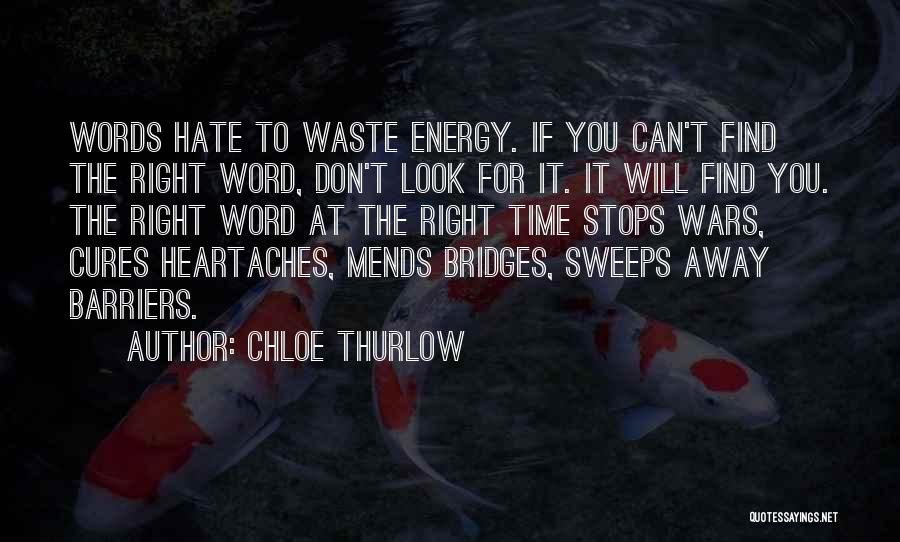 Don't Have Time To Waste Quotes By Chloe Thurlow