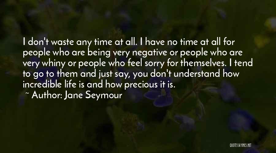 Don't Have Time To Waste Quotes By Jane Seymour