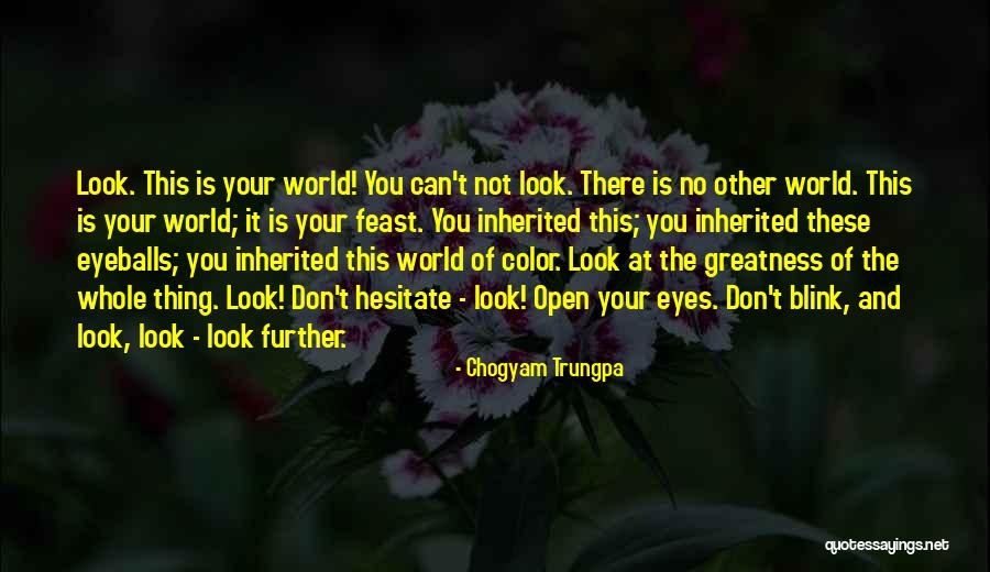 Don't Hesitate Quotes By Chogyam Trungpa