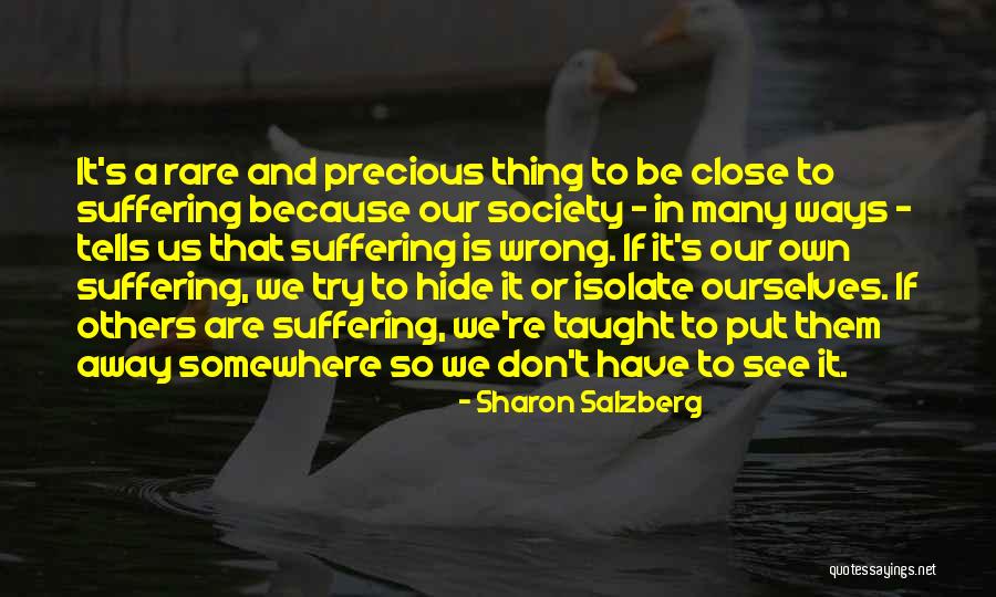 Don't Hide Yourself From Me Quotes By Sharon Salzberg