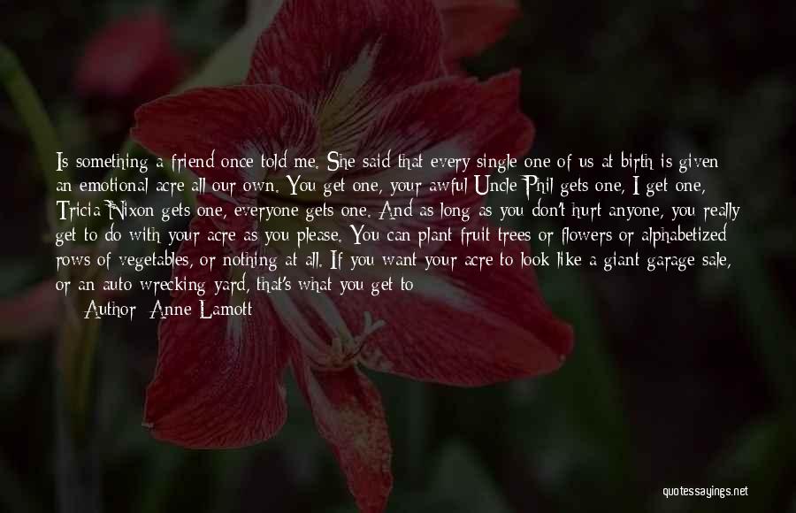 Don't Hurt Anyone Quotes By Anne Lamott