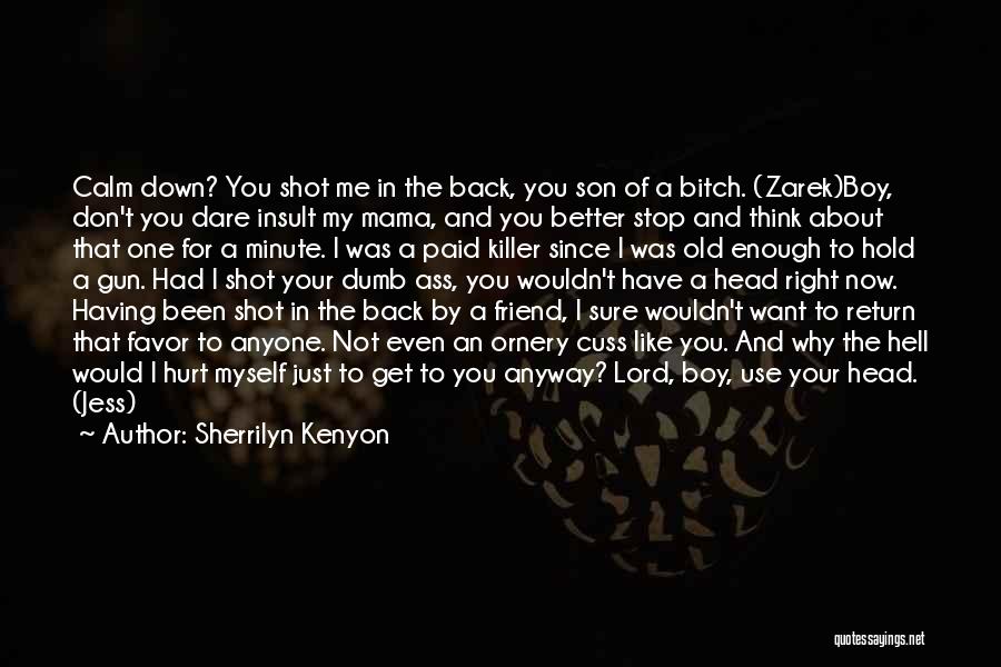 Don't Hurt Anyone Quotes By Sherrilyn Kenyon