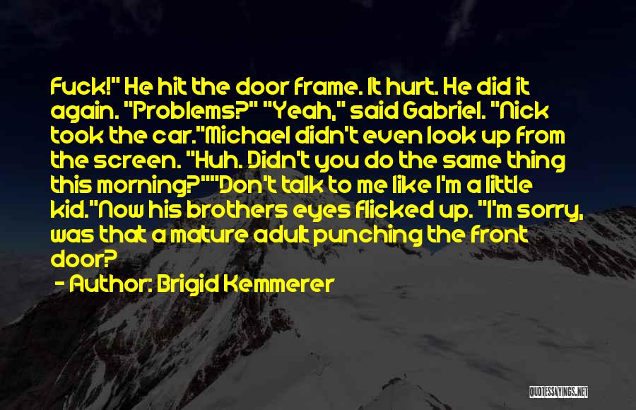 Don't Hurt Me Again Quotes By Brigid Kemmerer
