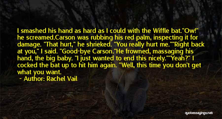 Don't Hurt Me Again Quotes By Rachel Vail