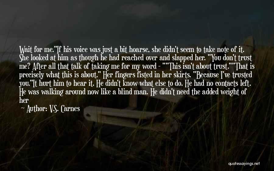 Don't Hurt Me Again Quotes By V.S. Carnes