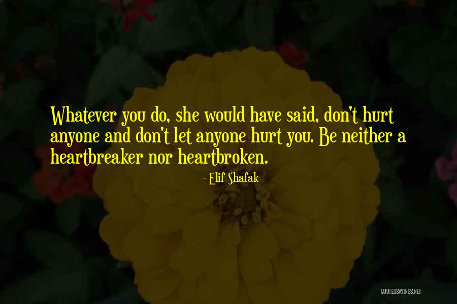 Don't Hurt Me So Much Quotes By Elif Shafak Don't Hurt Me So Much Quotes By Elif Shafak