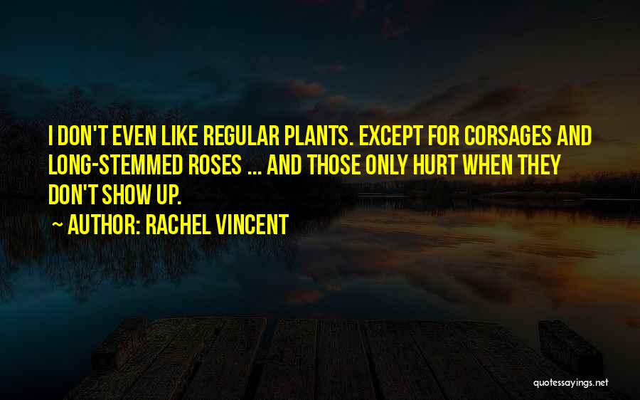 Don't Hurt Me So Much Quotes By Rachel Vincent
