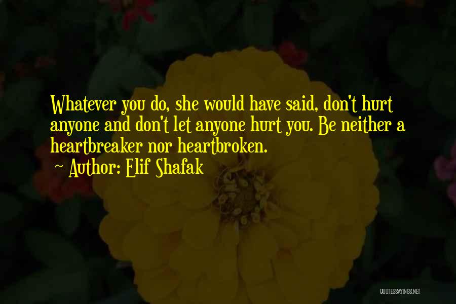 Don't Hurt Someone So Much Quotes By Elif Shafak