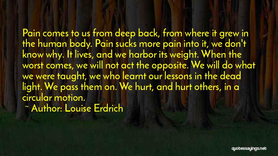 Don't Hurt Someone So Much Quotes By Louise Erdrich