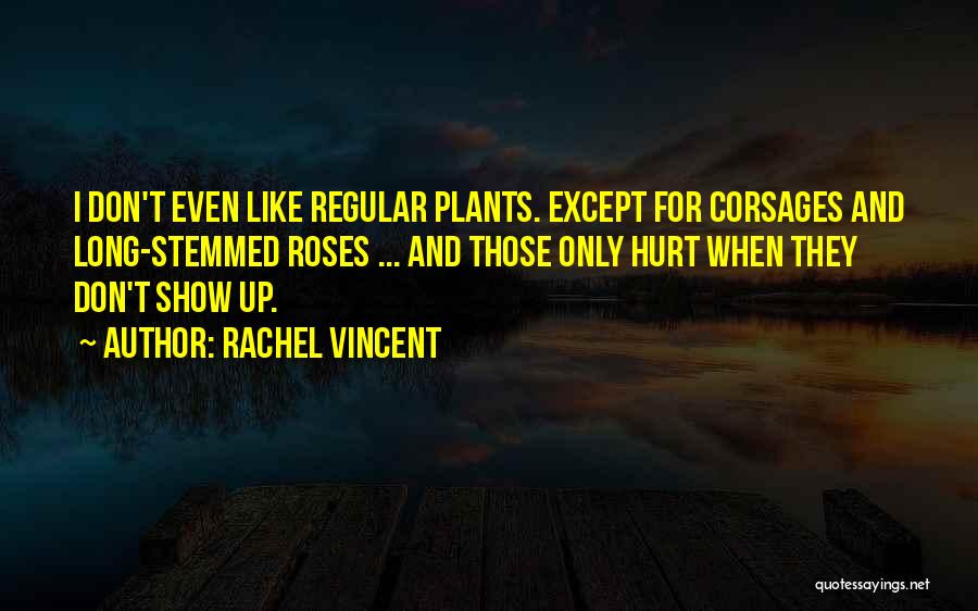 Don't Hurt Someone So Much Quotes By Rachel Vincent