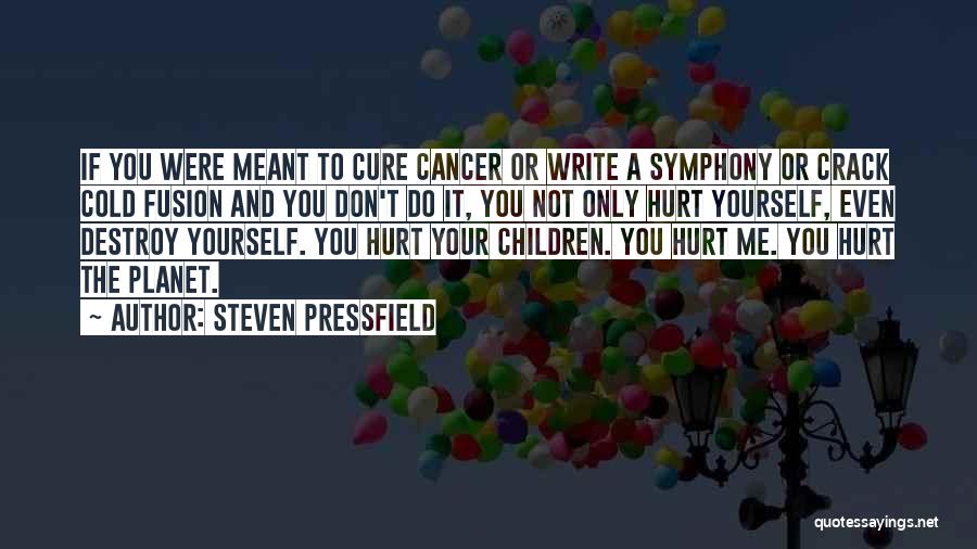 Don't Hurt Yourself Quotes By Steven Pressfield