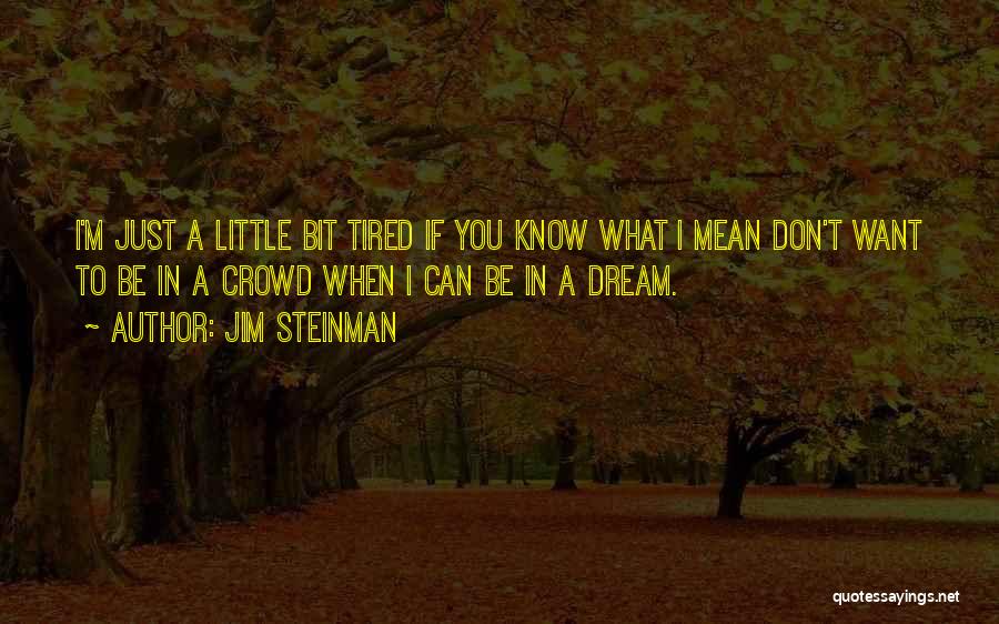 Don't Just Dream Quotes By Jim Steinman