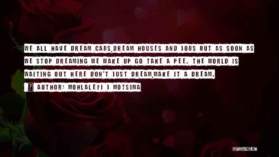 Don't Just Dream Quotes By Mohlalefi J Motsima