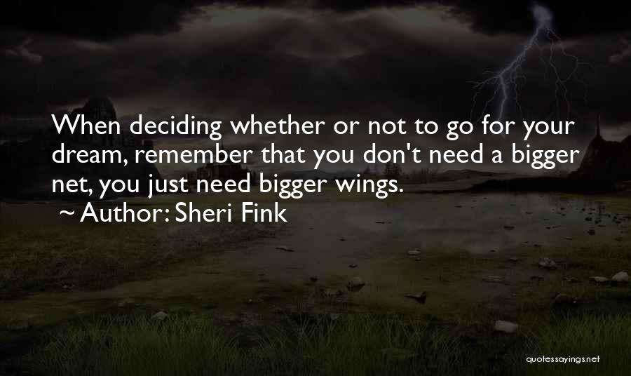 Don't Just Dream Quotes By Sheri Fink