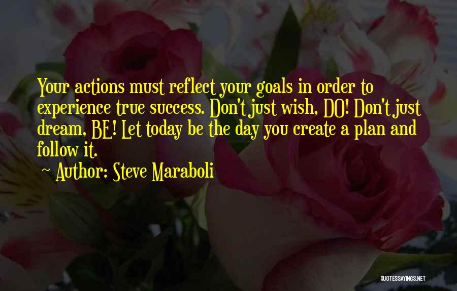 Don't Just Dream Quotes By Steve Maraboli