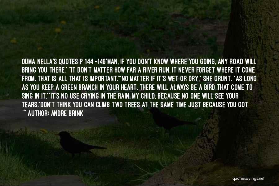 Don't Just Use Me Quotes By Andre Brink