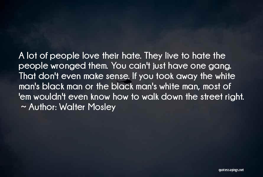 Don't Just Walk Away Quotes By Walter Mosley