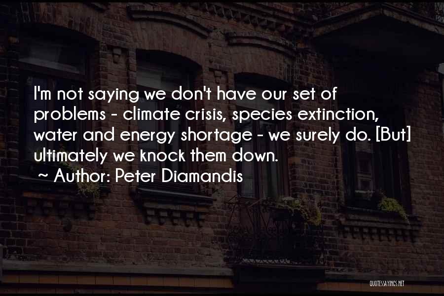 Don't Knock Me Down Quotes By Peter Diamandis