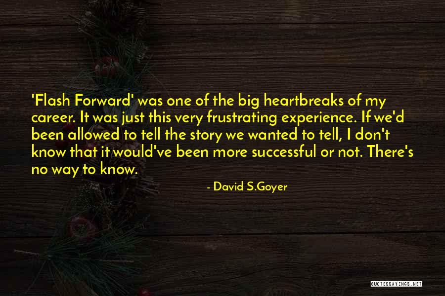 Don't Know My Story Quotes By David S.Goyer