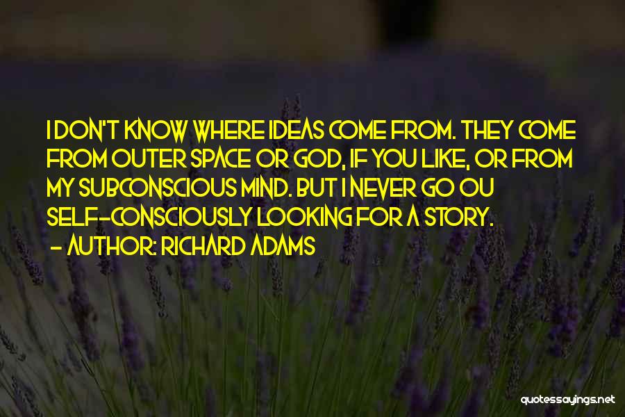 Don't Know My Story Quotes By Richard Adams