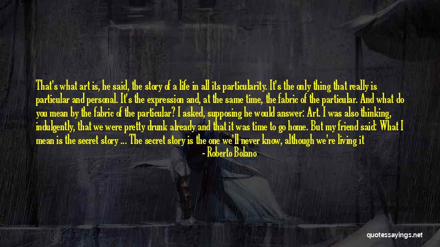 Don't Know My Story Quotes By Roberto Bolano