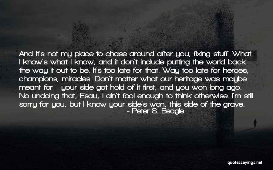 Don't Know What You Got Quotes By Peter S. Beagle Don't Know What You Got Quotes By Peter S. Beagle