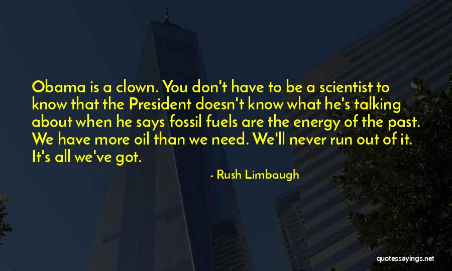 Don't Know What You Got Quotes By Rush Limbaugh Don't Know What You Got Quotes By Rush Limbaugh