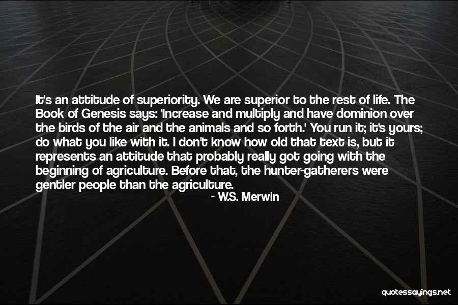 Don't Know What You Got Quotes By W.S. Merwin Don't Know What You Got Quotes By W.S. Merwin