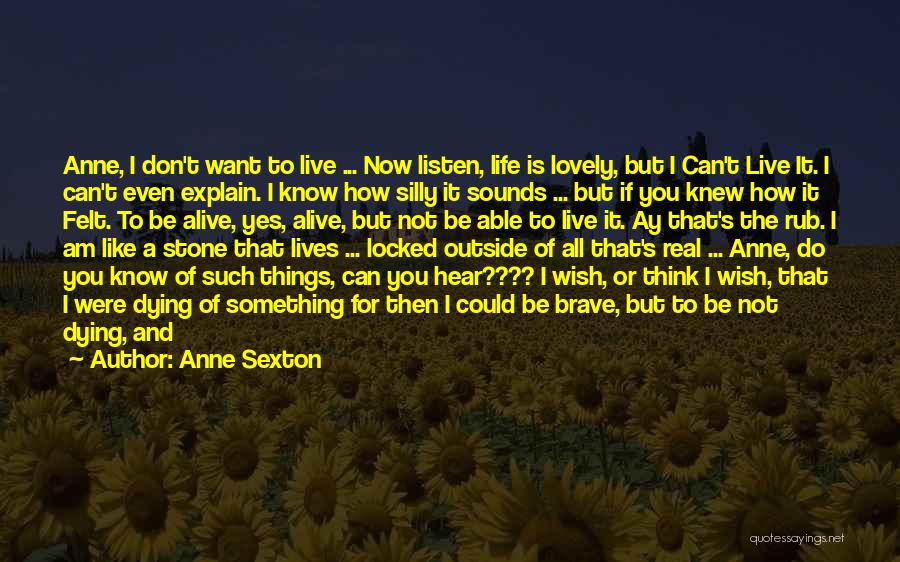 Don't Know Where You Belong Quotes By Anne Sexton