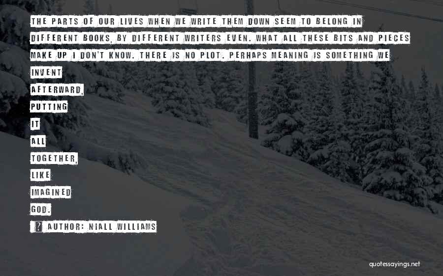 Don't Know Where You Belong Quotes By Niall Williams