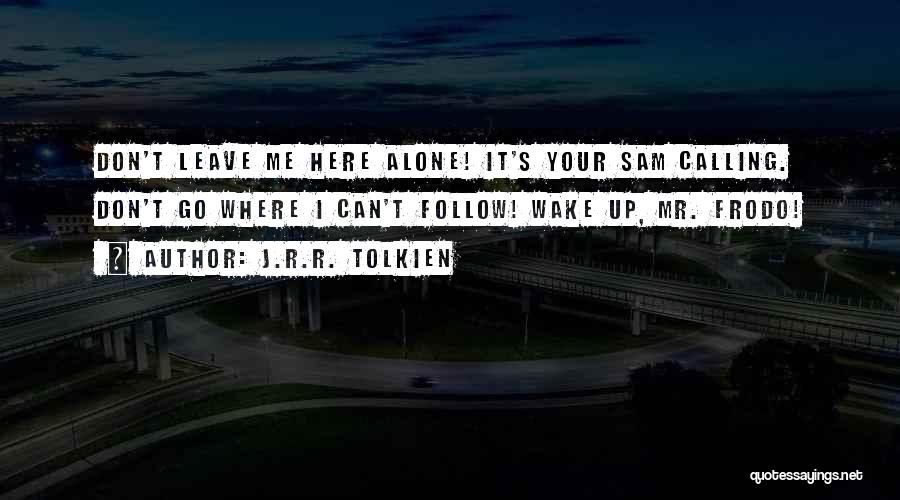 Don't Leave Alone Quotes By J.R.R. Tolkien