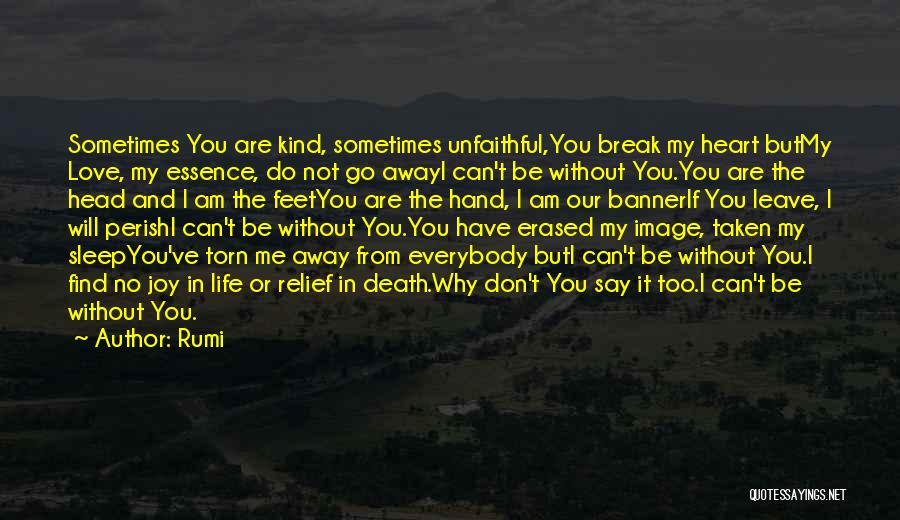 Don't Leave Me I Love You Quotes By Rumi