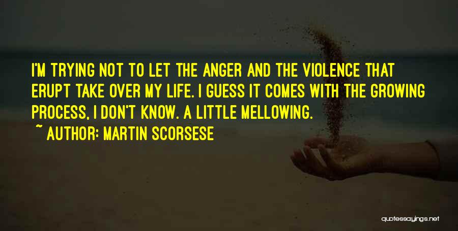 Don't Let Anger Quotes By Martin Scorsese