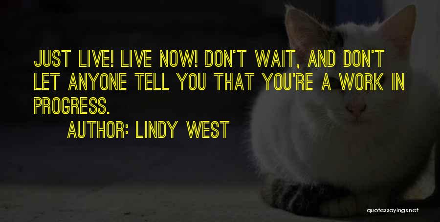 Don't Let Anyone Tell You Quotes By Lindy West