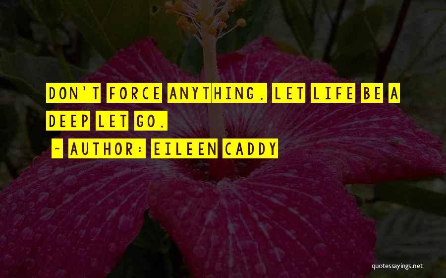 Don't Let Go Quotes By Eileen Caddy