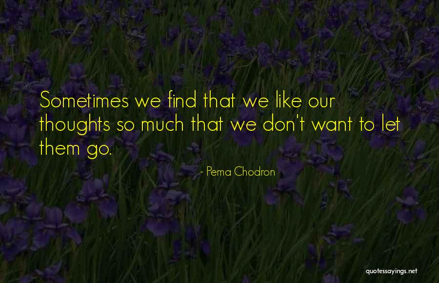 Don't Let Go Quotes By Pema Chodron