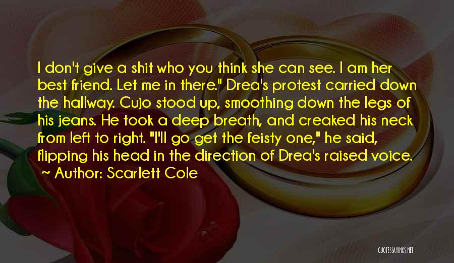 Don't Let Her Get You Down Quotes By Scarlett Cole