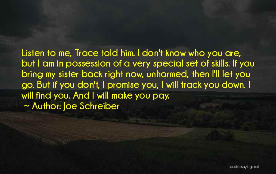 Don't Let Me Go Quotes By Joe Schreiber