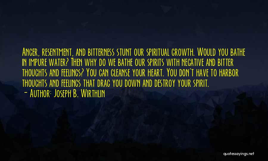 Don't Let Others Drag You Down Quotes By Joseph B. Wirthlin