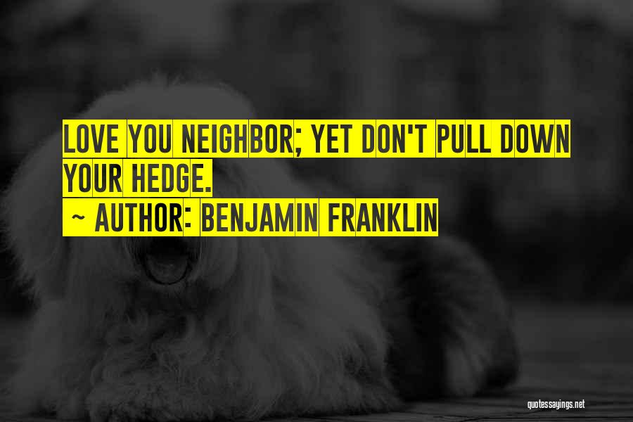 Don't Let Others Pull You Down Quotes By Benjamin Franklin